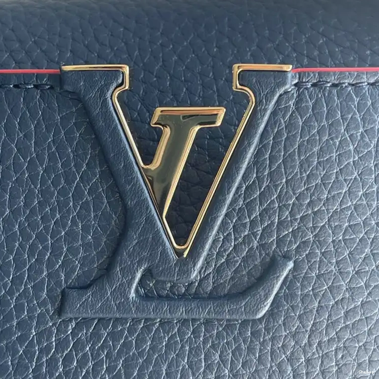 2110YA0096 LV Bags 0730